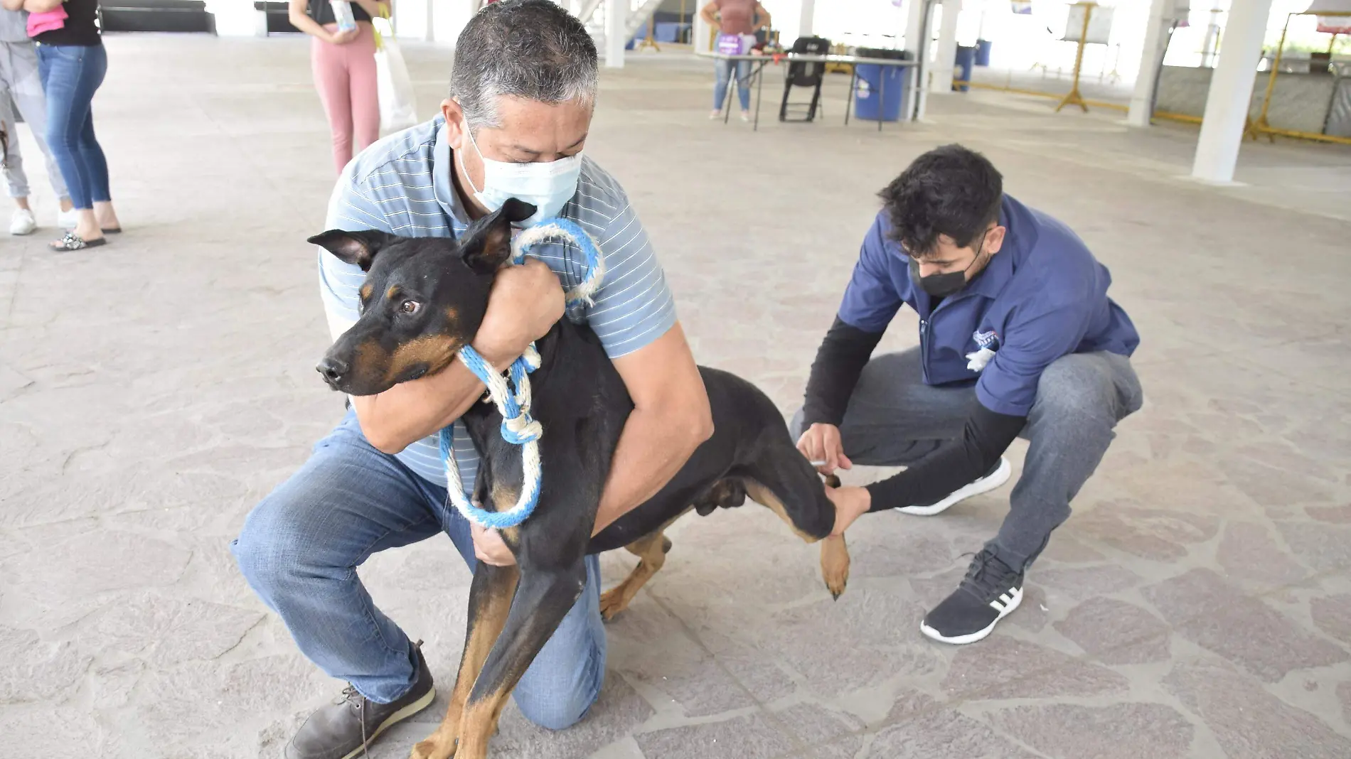 F CARMONA ESTERILIZACION (4)